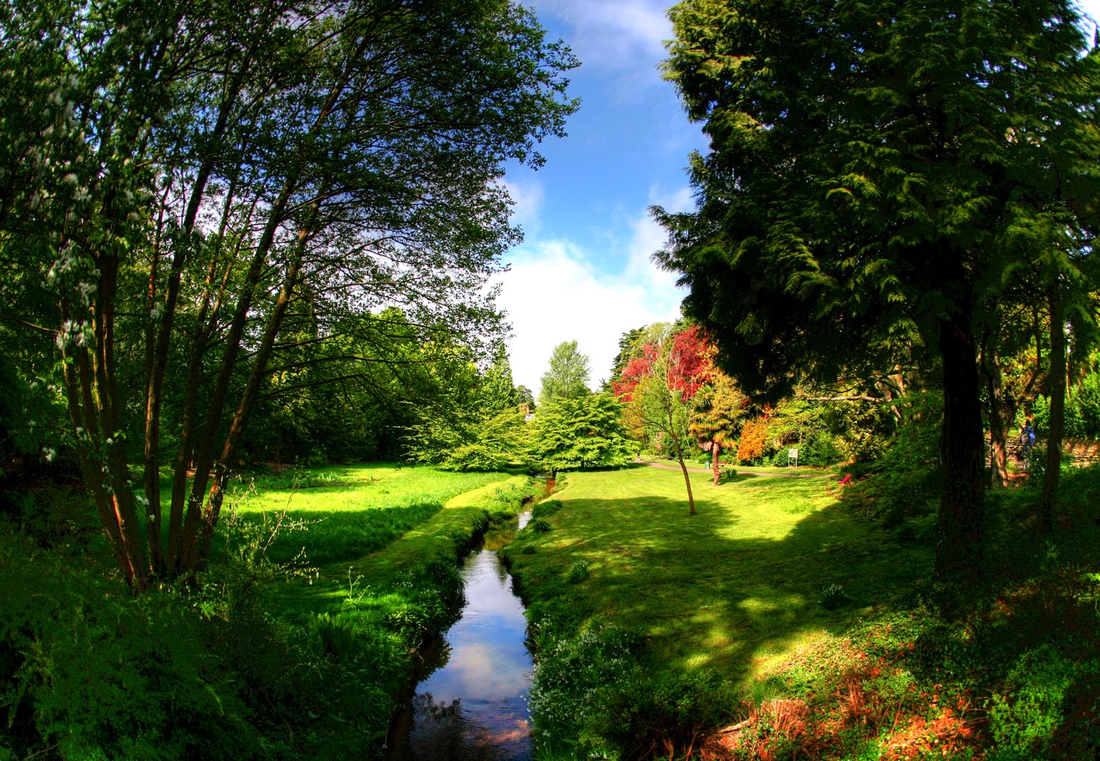 tranquil scenes of a stream flowering through the lush grass in the town gardens 